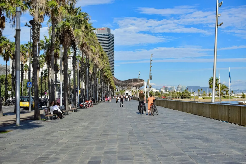 Palm-lined Barceloneta seafront promenade in Barcelona
